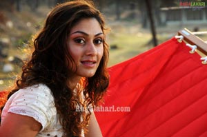 Manjari Fadnis Photo Gallery from Inkosari